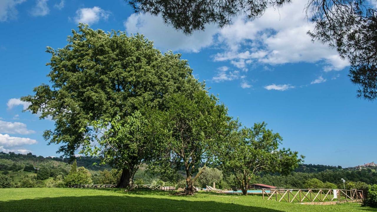 Agriturismo Bio Le Macchie Alte マンチャーノ エクステリア 写真